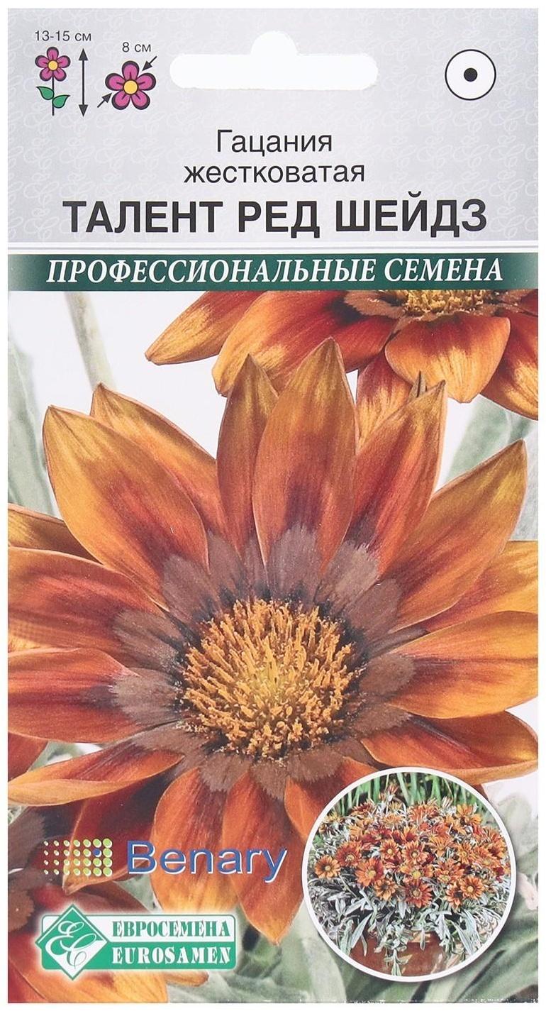 Семена Цветов Гацания жестковатая Талент Ред Шейдз, 5 шт
