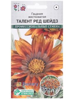 Семена Цветов Гацания жестковатая Талент Ред Шейдз, 5 шт