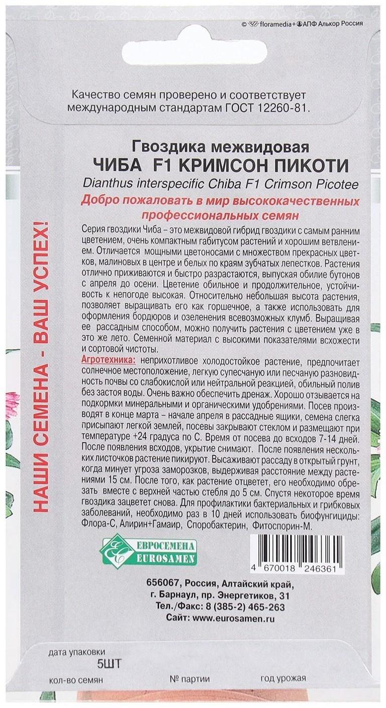 Семена Цветов Гвоздика межвидовая Чиба F1 Кримсон Пикоти, 5 шт