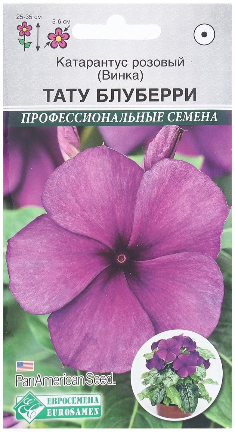 Семена Цветов Катарантус розовый, Винка Тату Блуберри, 5 шт