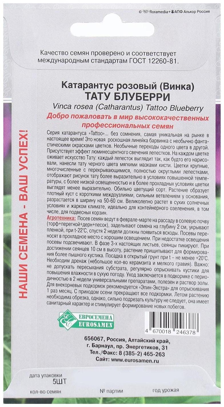 Семена Цветов Катарантус розовый, Винка Тату Блуберри, 5 шт