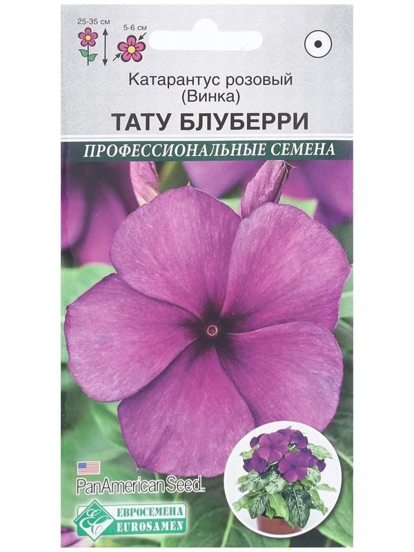 Семена Цветов Катарантус розовый, Винка Тату Блуберри, 5 шт