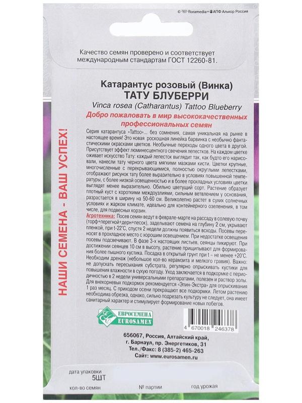 Семена Цветов Катарантус розовый, Винка Тату Блуберри, 5 шт