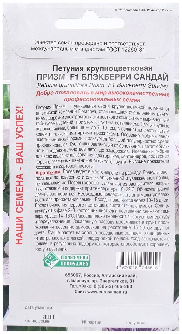 Семена Цветов Петуния крупноцветковая Призм Блекберри Сандай F1, 8 драже