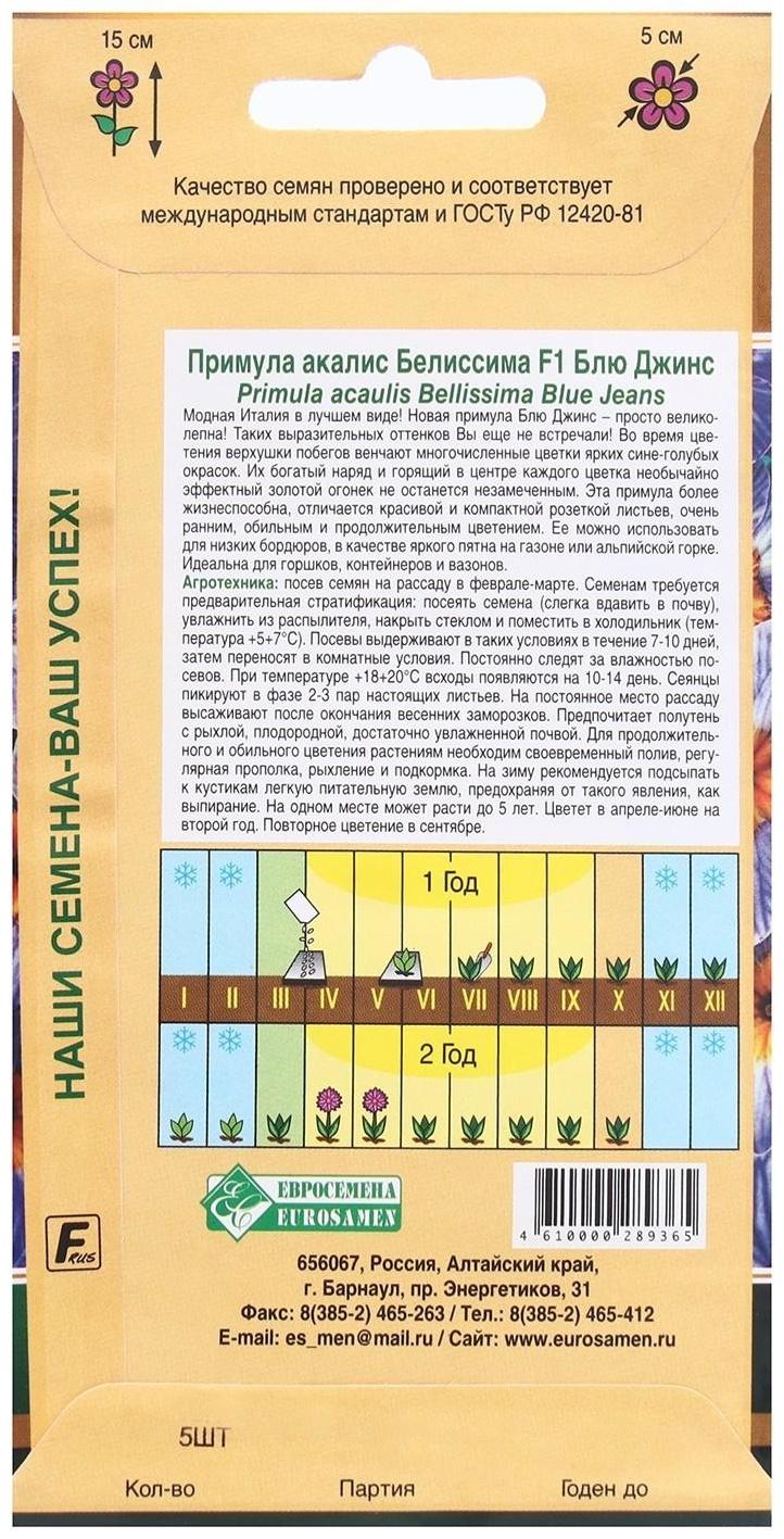 Семена Цветов Примула БЕЛИССИМА F1 Блю Джинс, 5 шт