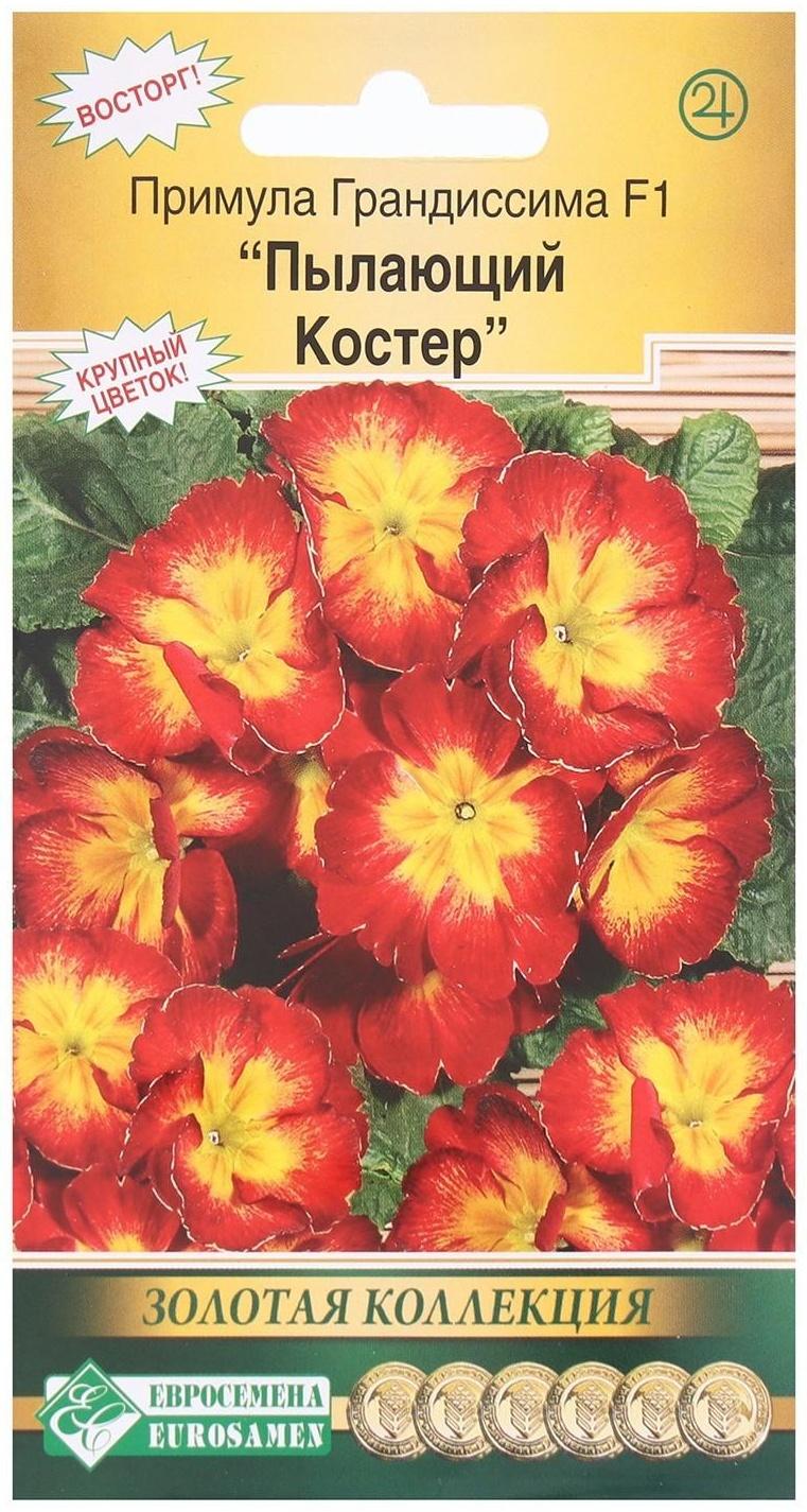 Семена Цветов Примула ГРАНДИССИМА F1 Пылающий костер, 3 шт