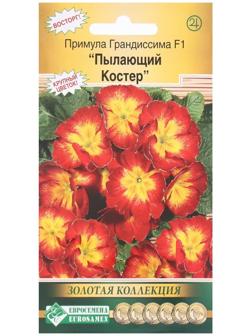 Семена Цветов Примула ГРАНДИССИМА F1 Пылающий костер, 3 шт