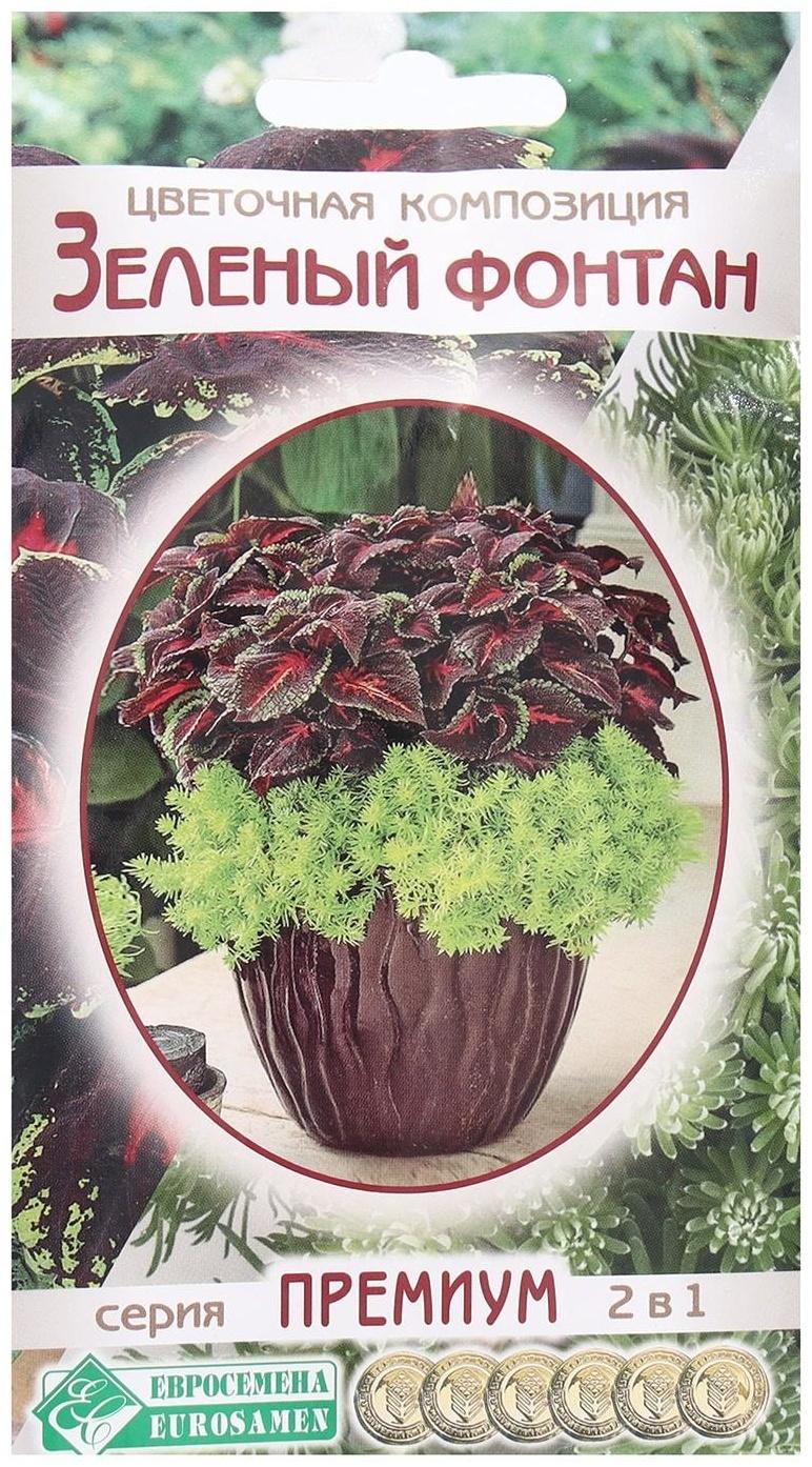 Семена Цветов Цветочная композиция Зеленый Фонтан, 4 шт