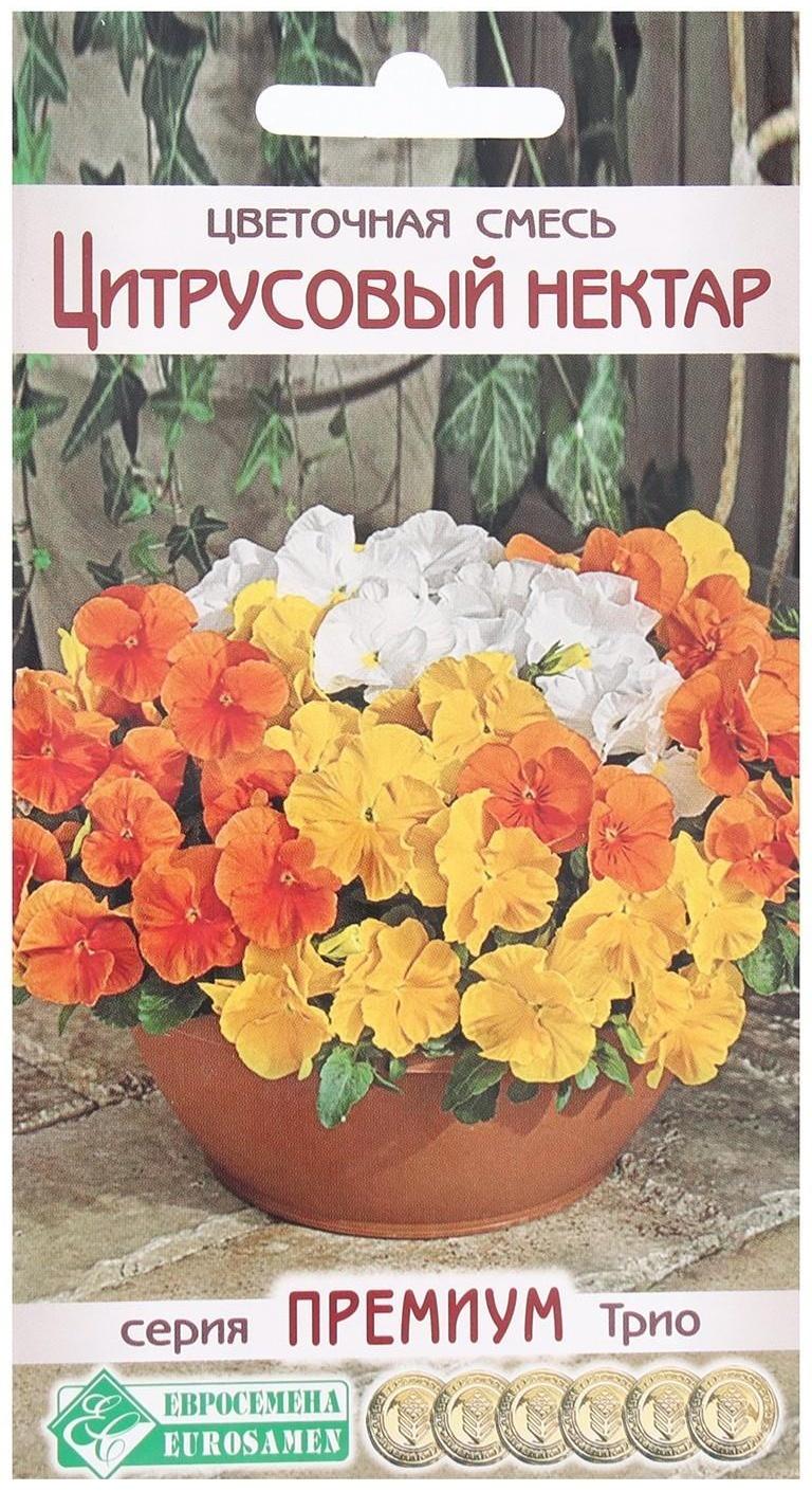 Семена Цветов Цветочная смесь Цитрусовый нектар, 9 шт
