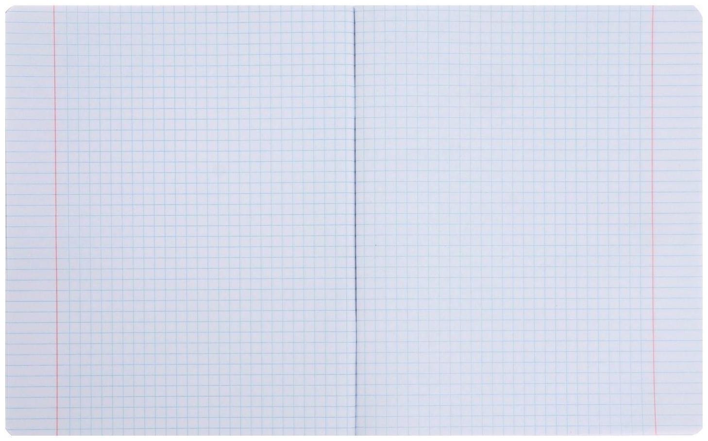 Тетрадь 48 листов в клетку 