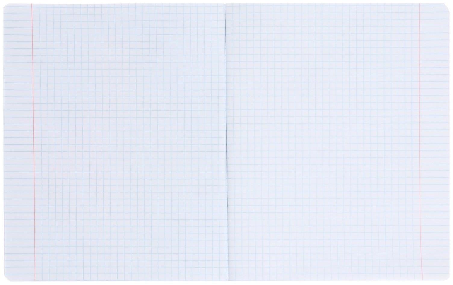 Тетрадь 48 листов в клетку 