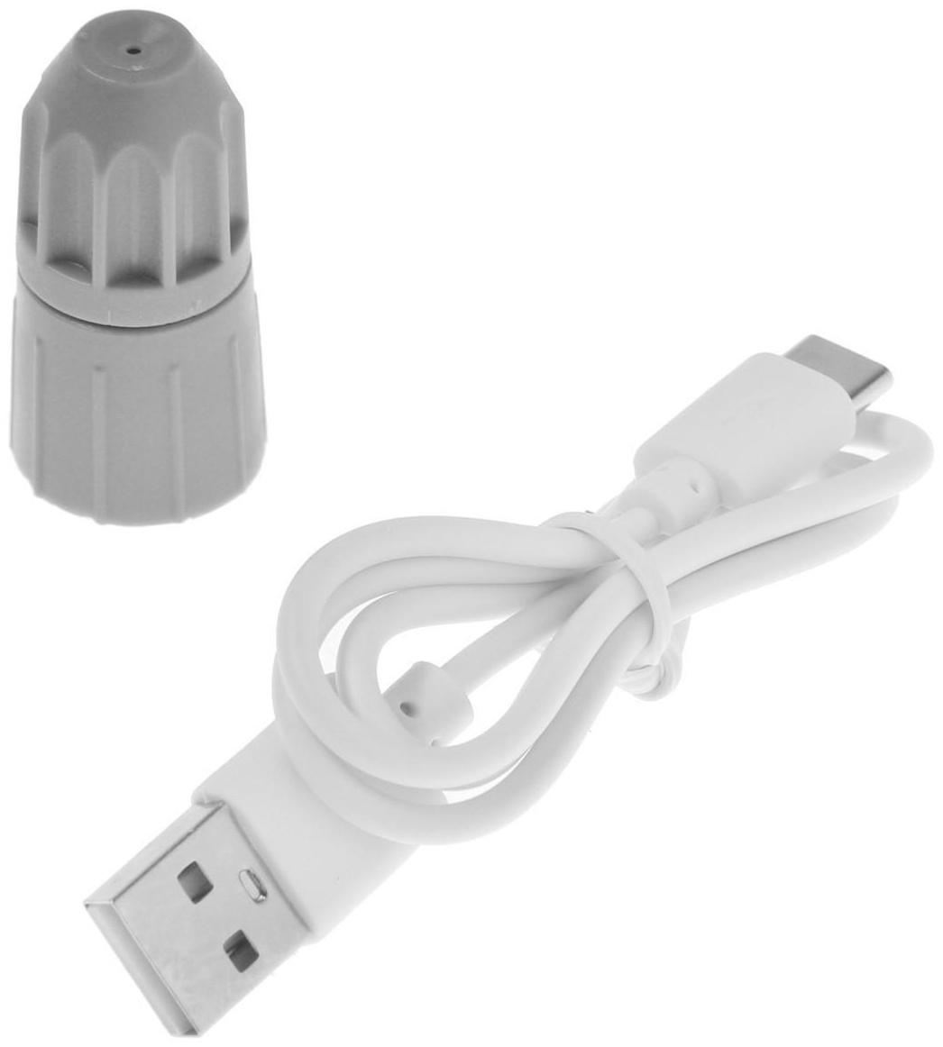 Опрыскиватель аккумуляторный ТУНДРА, 3.7 В, 2 Ач, 2 л, 0.7 л/мин, гибкая насадка