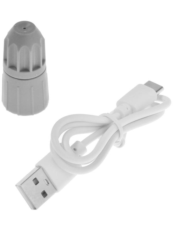 Опрыскиватель аккумуляторный ТУНДРА, 3.7 В, 2 Ач, 2 л, 0.7 л/мин, гибкая насадка