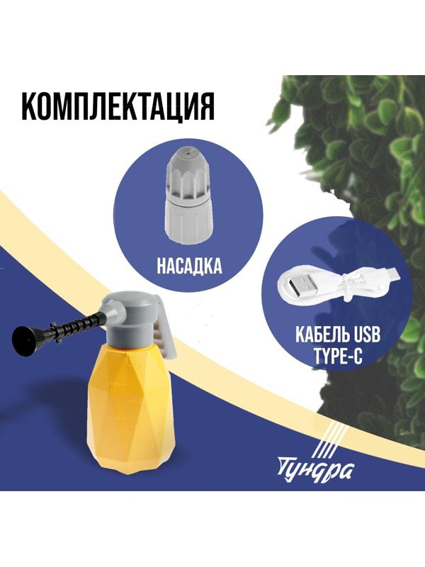 Опрыскиватель аккумуляторный ТУНДРА, 3.7 В, 2 Ач, 2 л, 0.7 л/мин, гибкая насадка