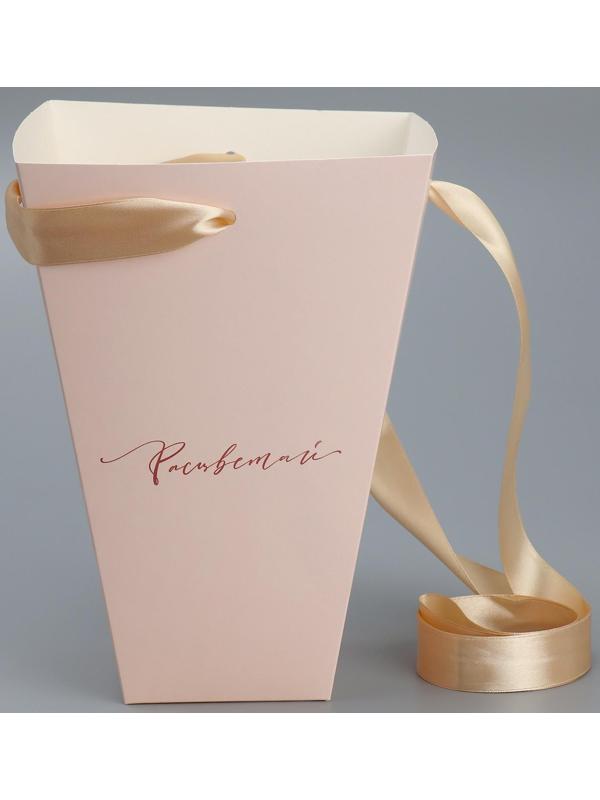 Переноска для цветов на лентах «Расцветай», 17 х 25 х 9 см