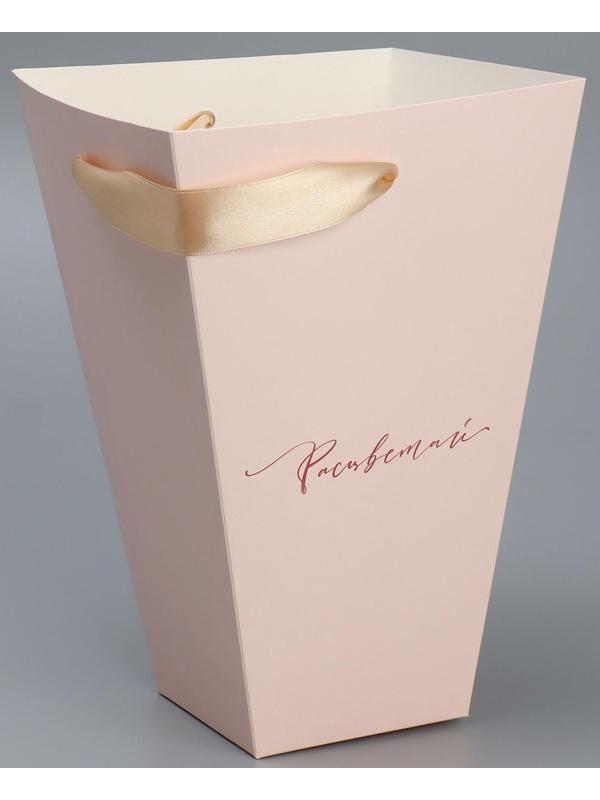 Переноска для цветов на лентах «Расцветай», 17 х 25 х 9 см