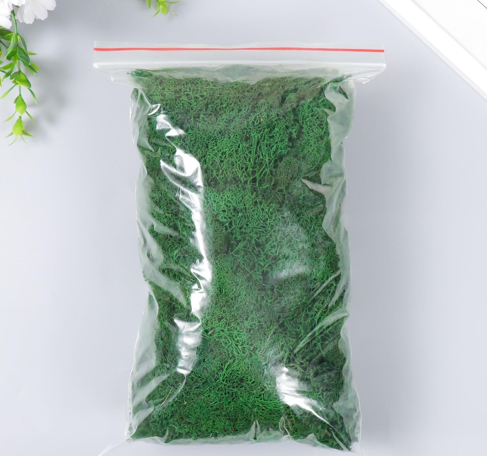 Мох стабилизированный 