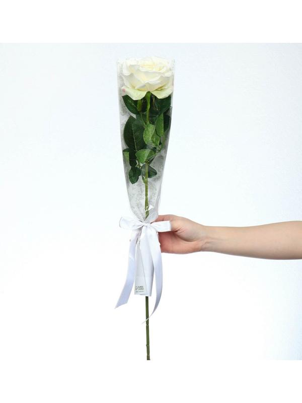 Пакет для цветов с вкладышем «Самой нежной»