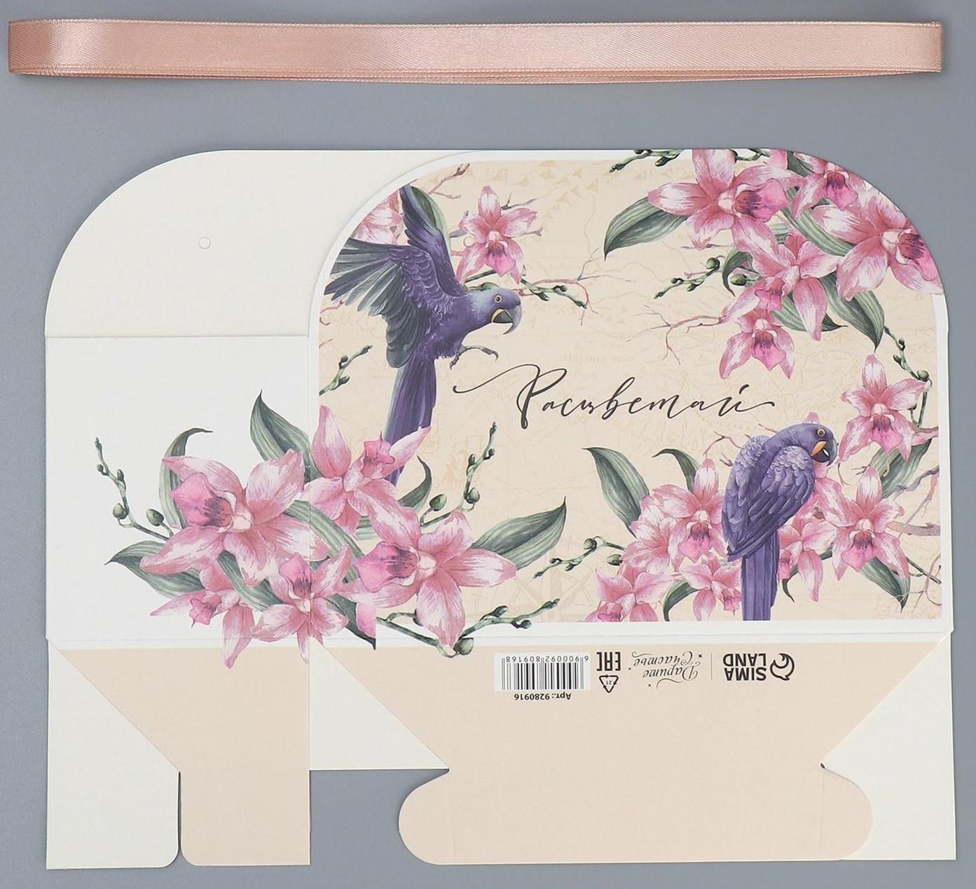 Переноска для цветов складная «Расцветай», 17 × 13 × 7 см