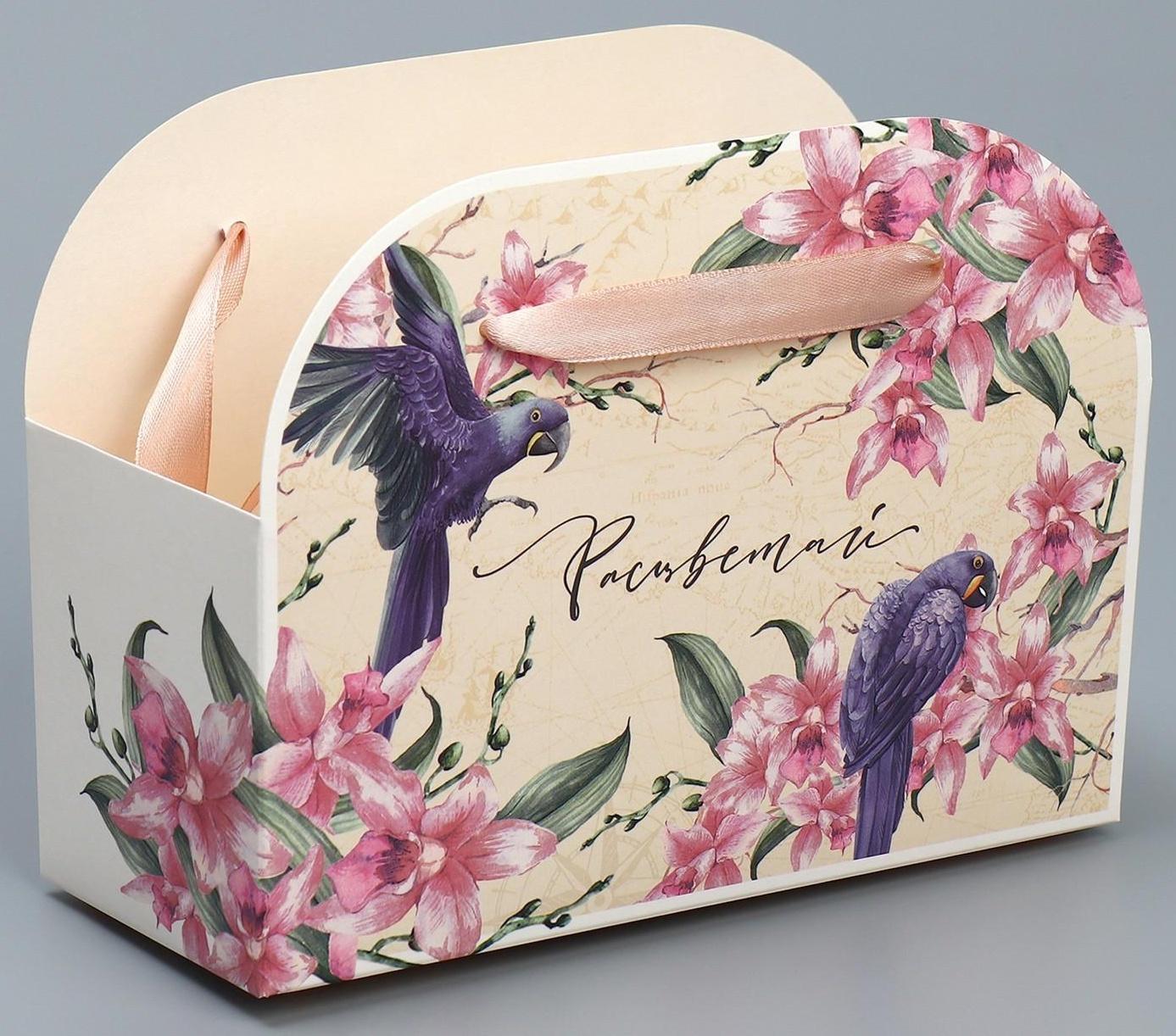 Переноска для цветов складная «Расцветай», 17 × 13 × 7 см