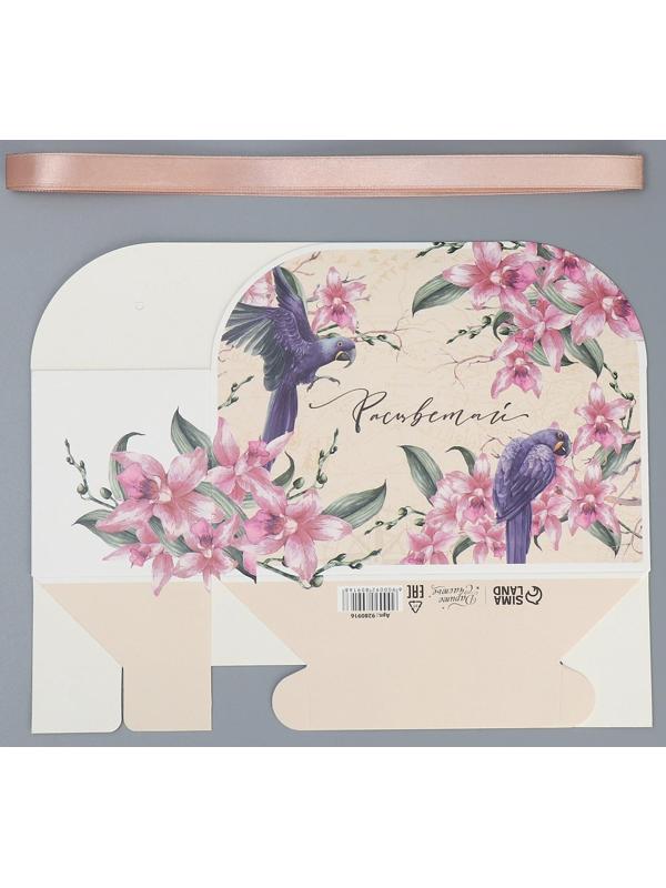 Переноска для цветов складная «Расцветай», 17 × 13 × 7 см