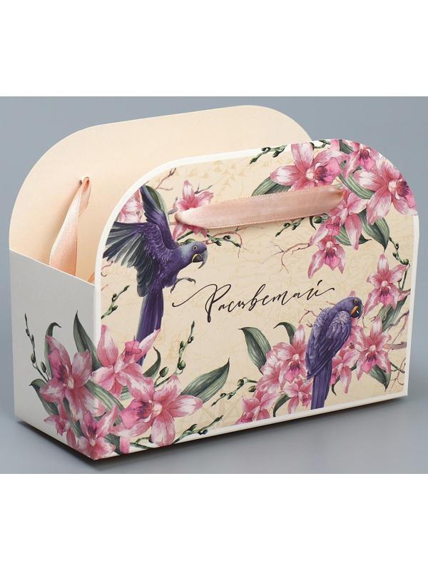 Переноска для цветов складная «Расцветай», 17 × 13 × 7 см