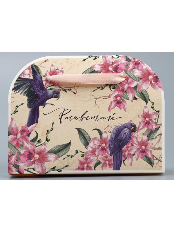 Переноска для цветов складная «Расцветай», 17 × 13 × 7 см