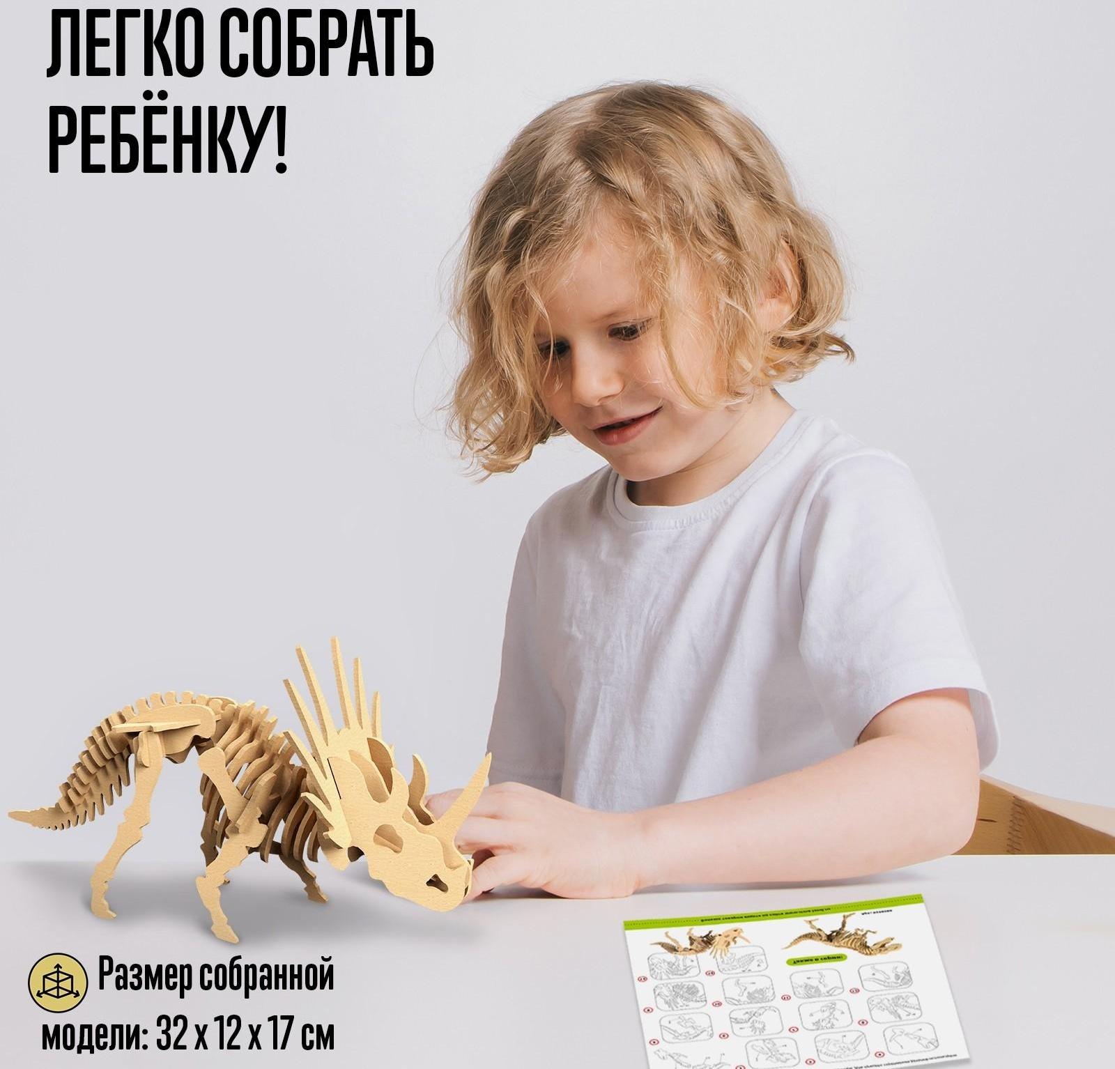 Деревянный конструктор «Скелет Трицератопса»