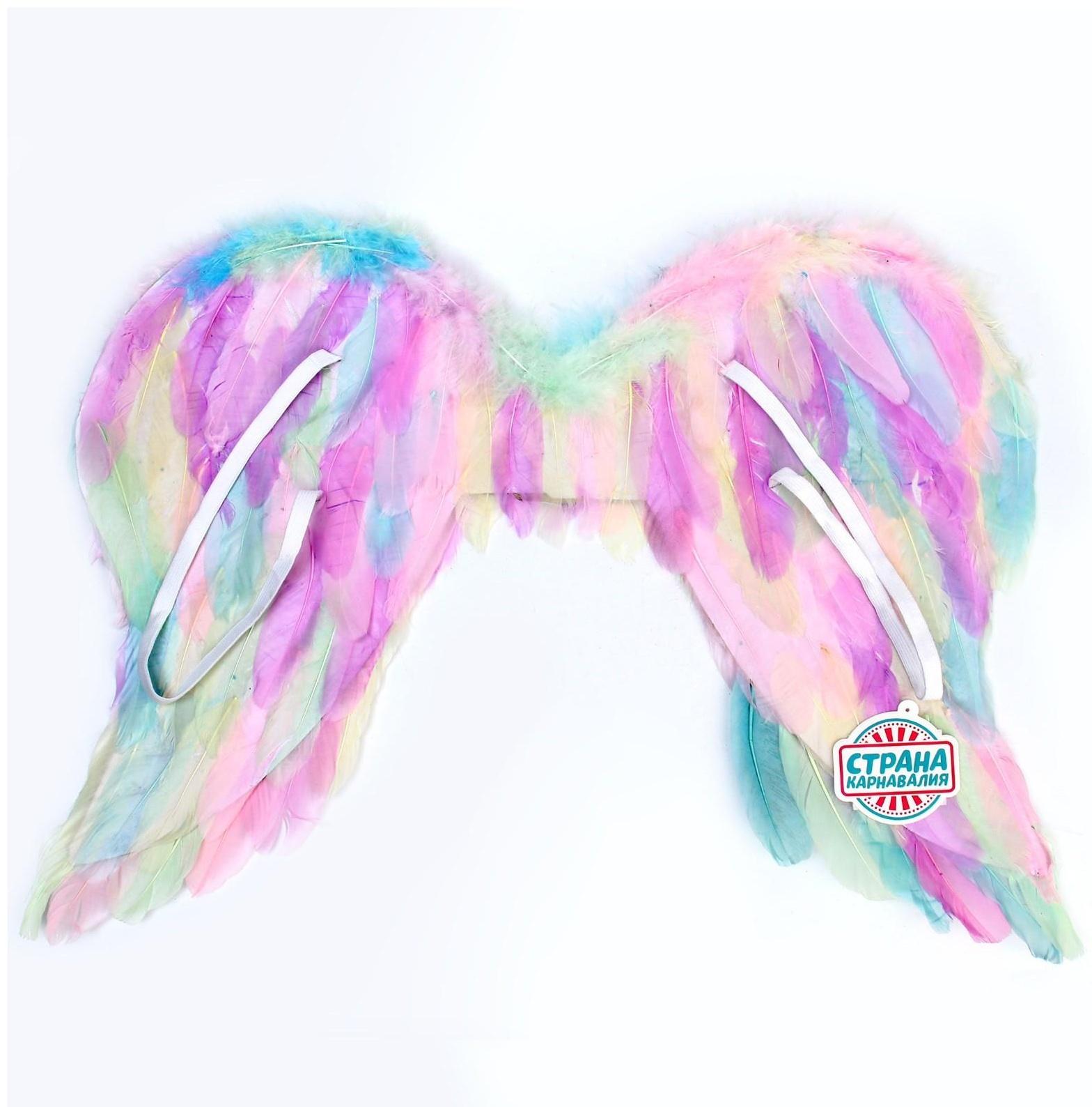 Крылья ангела 55×42 см