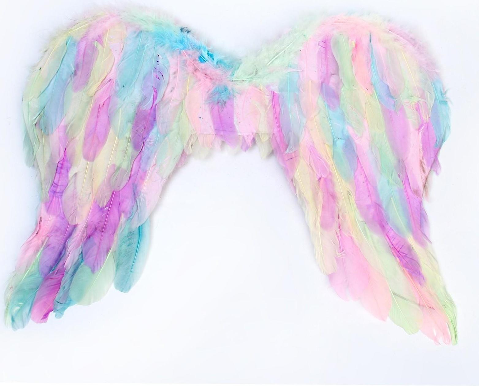 Крылья ангела 55×42 см