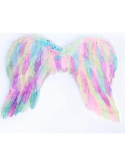 Крылья ангела 55×42 см