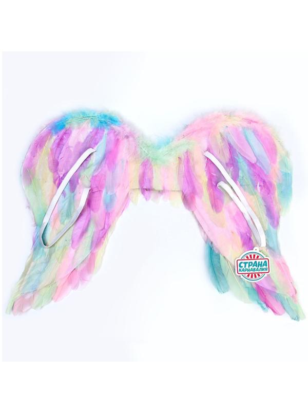 Крылья ангела 55×42 см