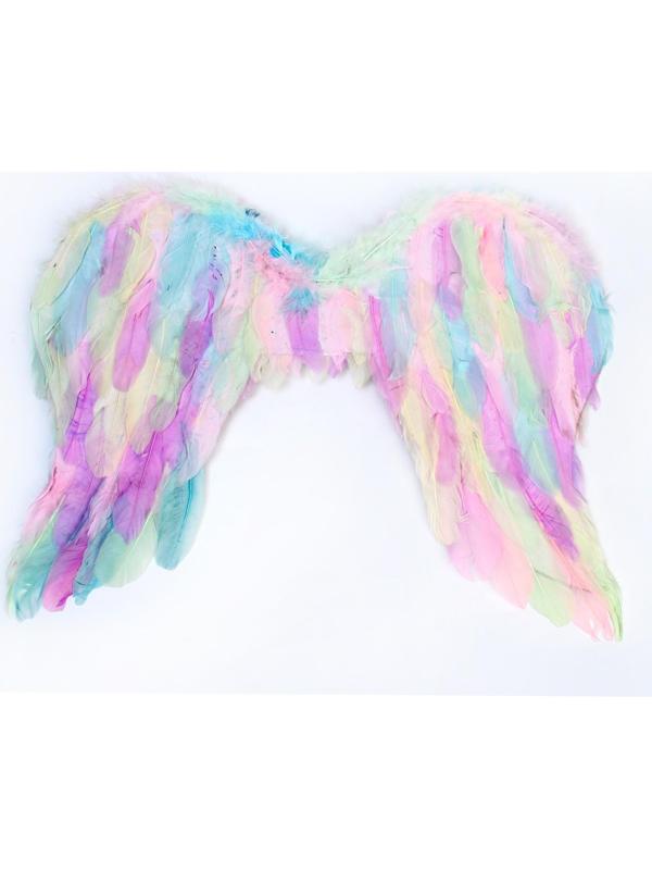 Крылья ангела 55×42 см