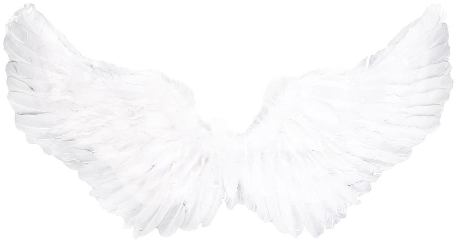 Карнавальные крылья 35 × 80, цвета МИКС