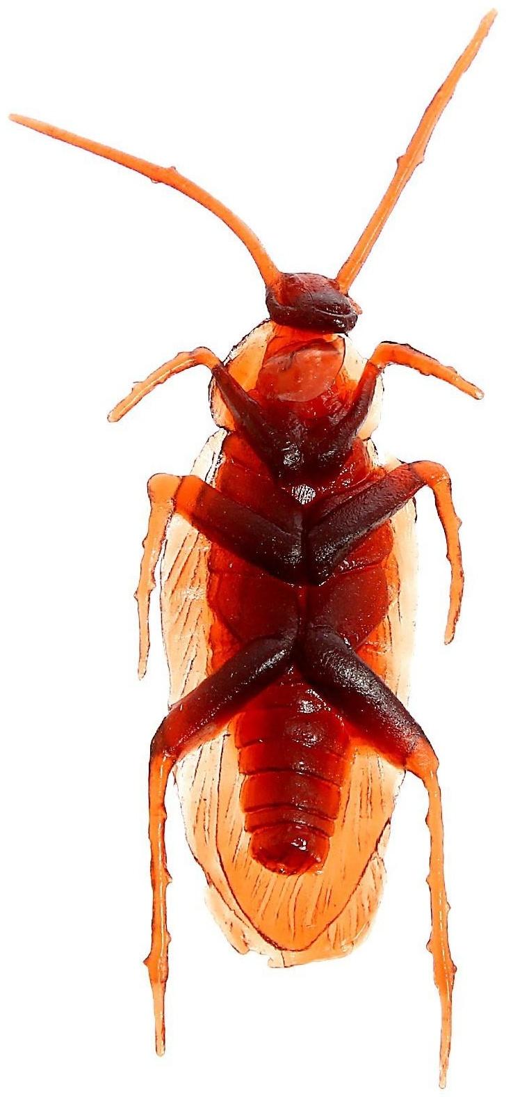 Набор насекомых «Тараканы», 24 шт.