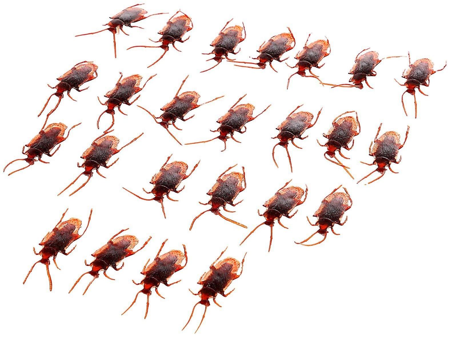 Набор насекомых «Тараканы», 24 шт.