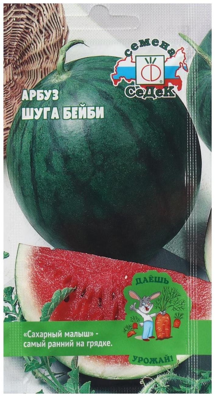 Семена Арбуз  