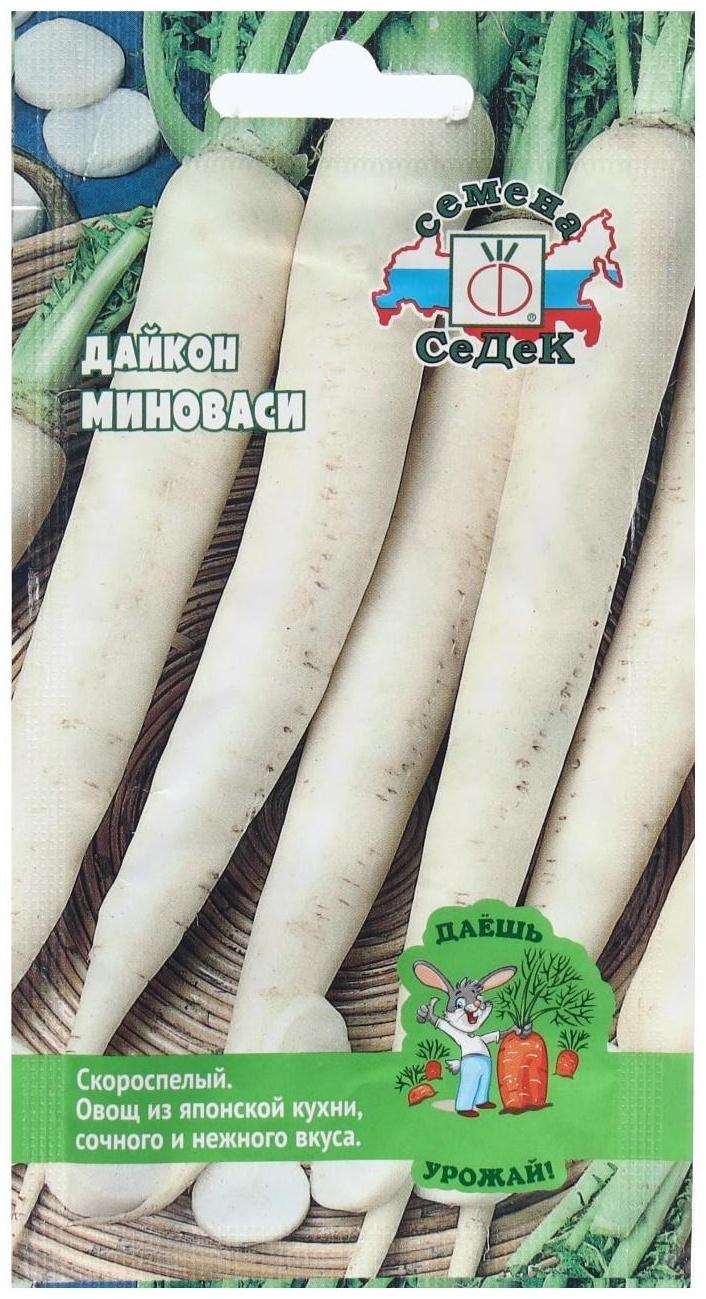 Семена Дайкон  