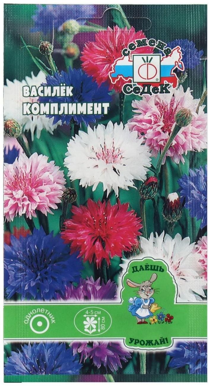 Семена Цветок Василек 