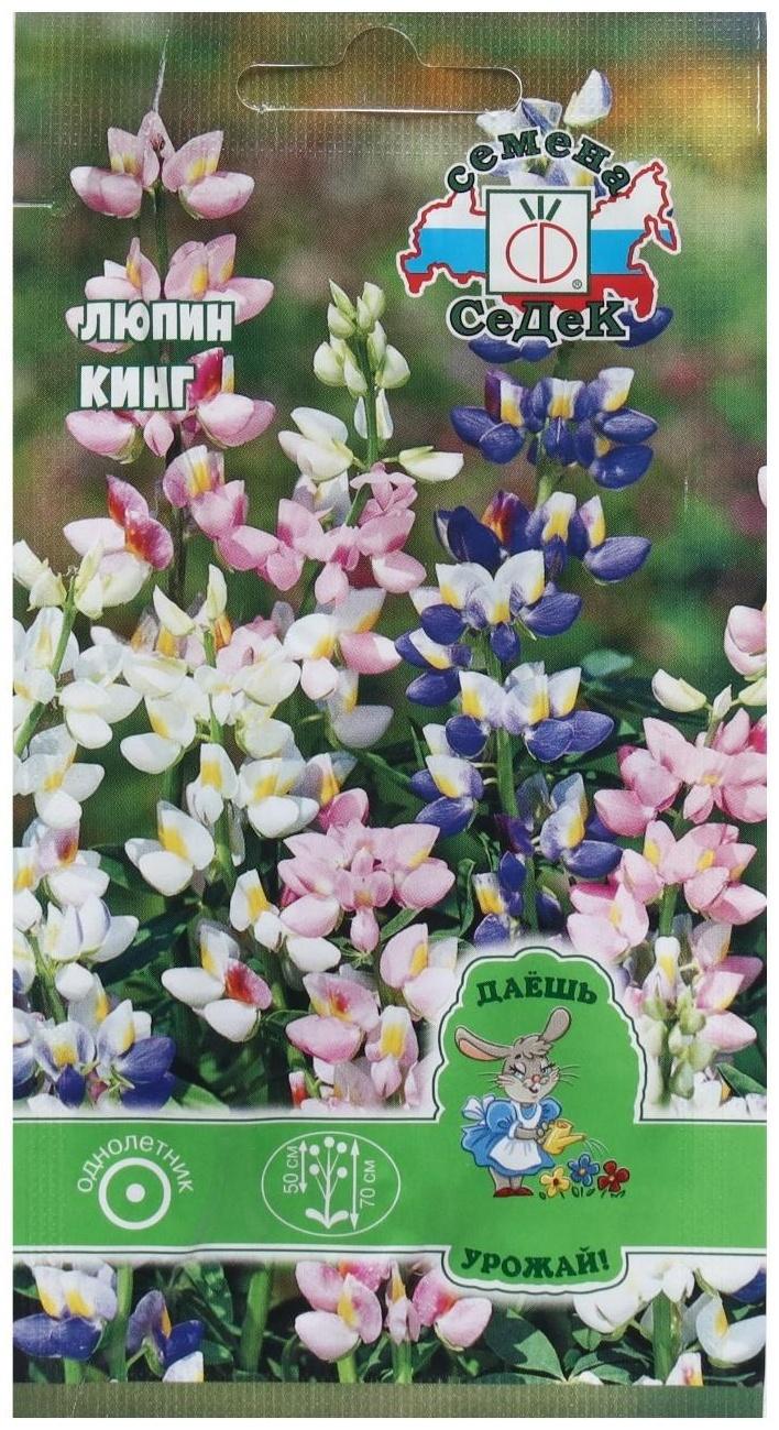 Семена Цветок Люпин 