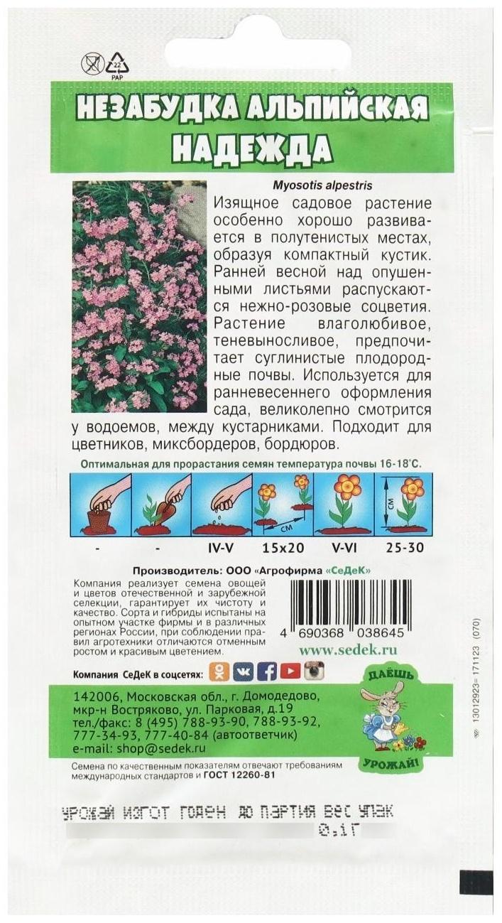 Семена Цветок Незабудка 