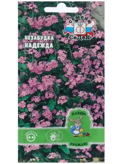 Семена Цветок Незабудка 