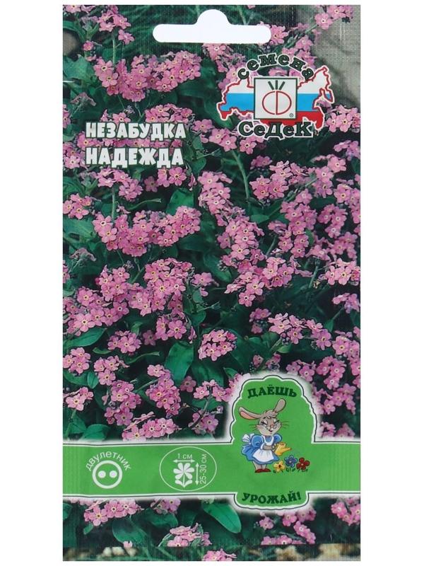 Семена Цветок Незабудка 