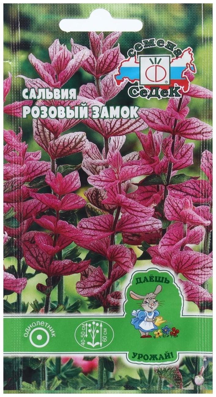 Семена Цветок Сальвия 