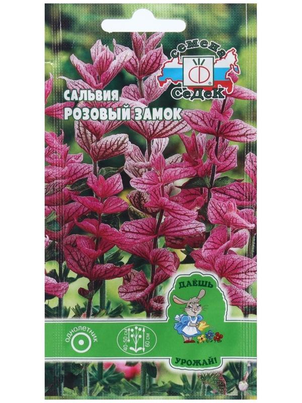 Семена Цветок Сальвия 