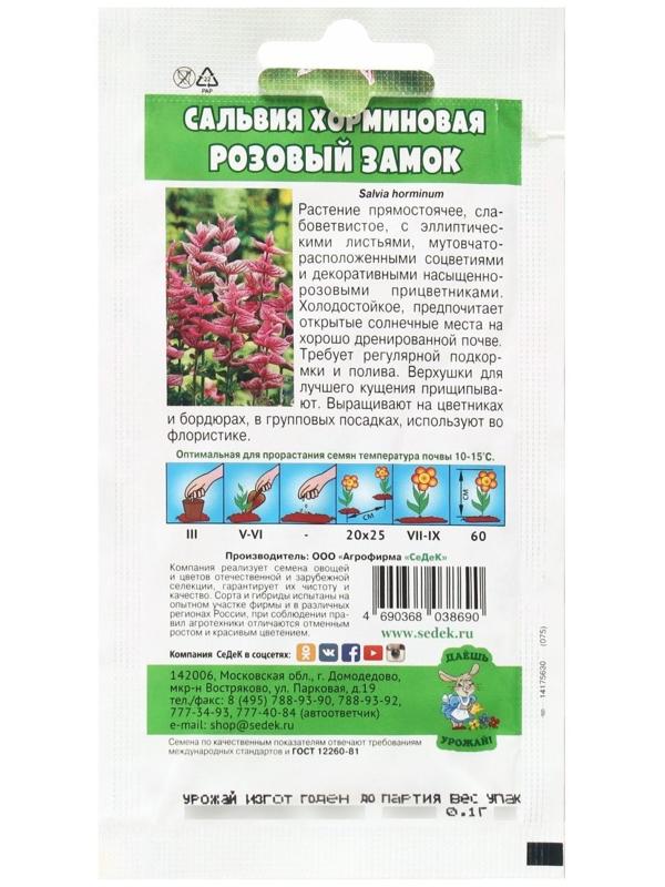 Семена Цветок Сальвия 