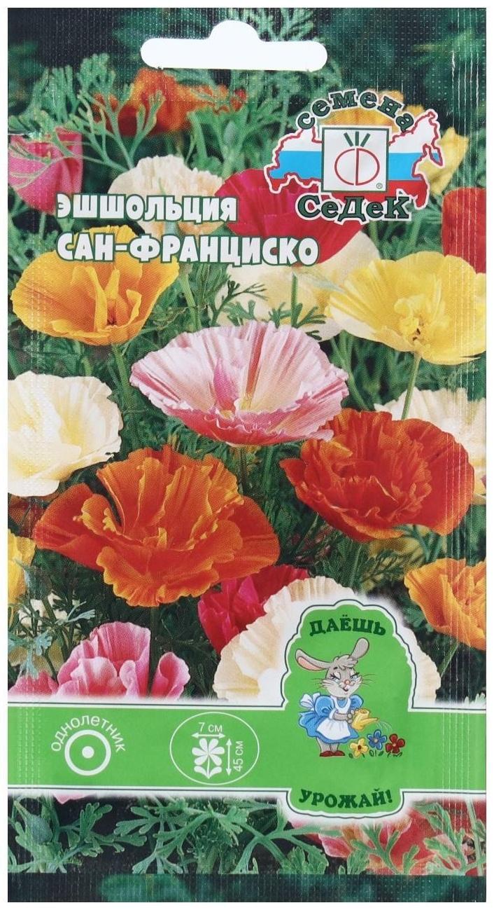 Семена Цветок Эшшольция 