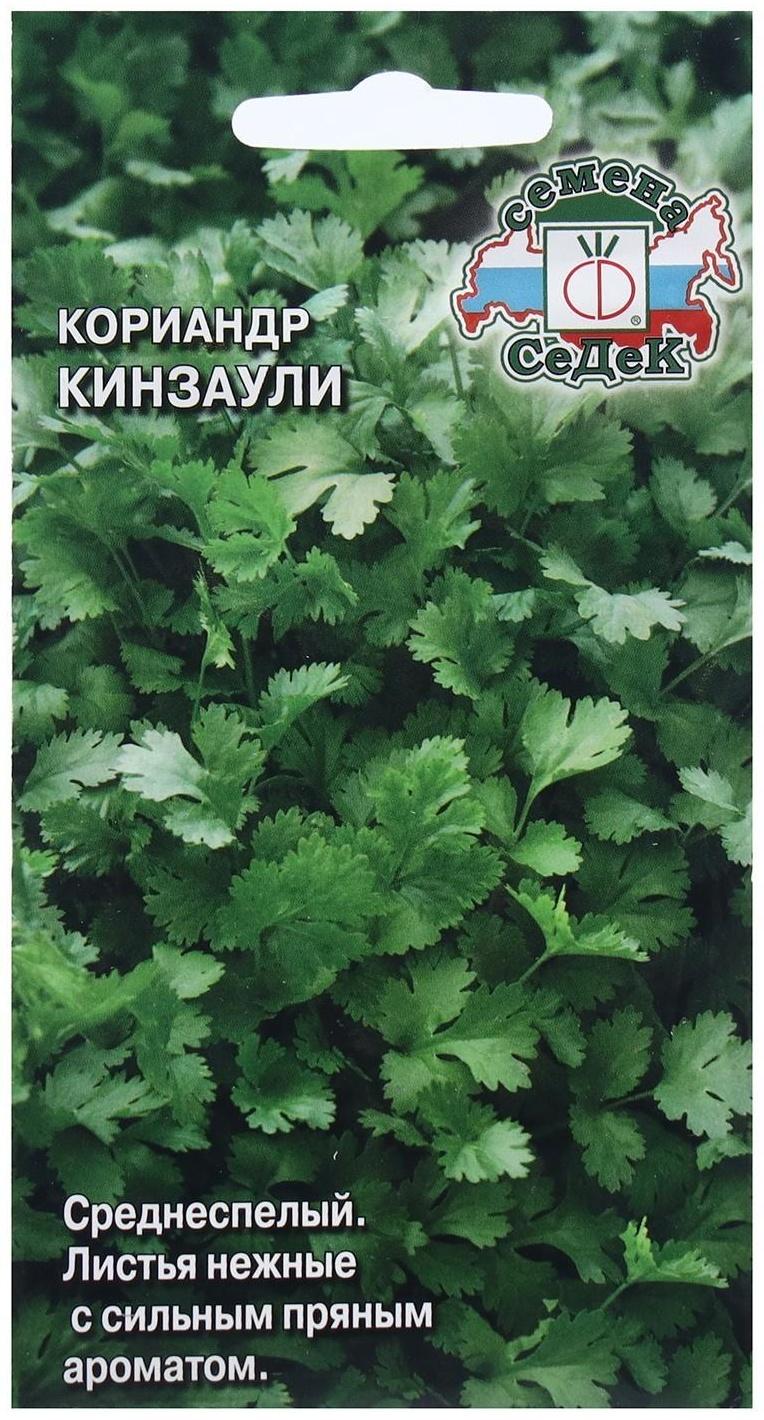 Семена Кориандр  