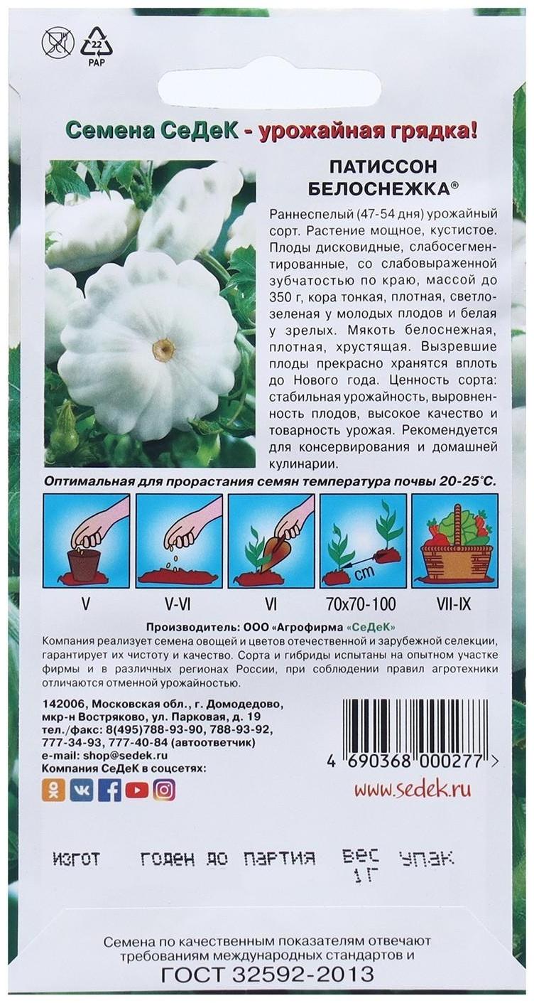 Семена Патиссон  