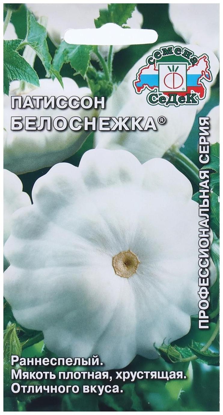 Семена Патиссон  